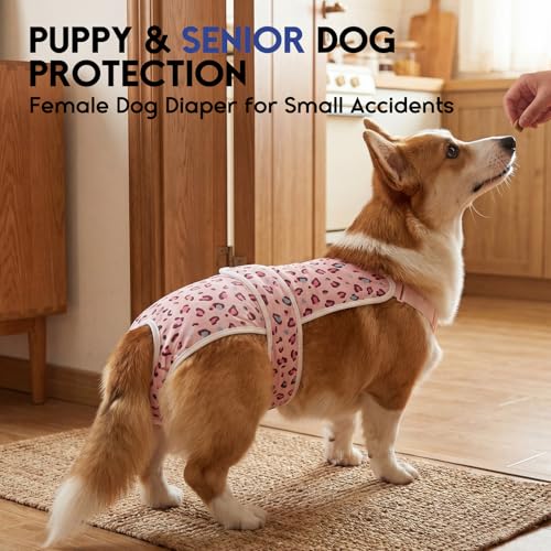 Image of ASENKU 2 Pack Female Dog Diapers with Suspenders, Reusable Washable Puppy Panties for Small Dogs, Leak-Proof Pet Underwear for Heat Cycle & Period