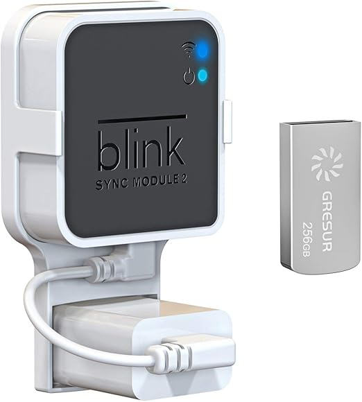 256GB USB Flash Drive for Local Video Storage with The Blink Sync Module 2 Mount