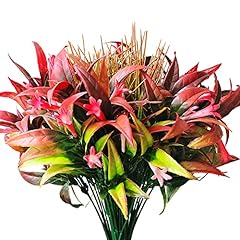 Red Morning Glory Flowers and Grass