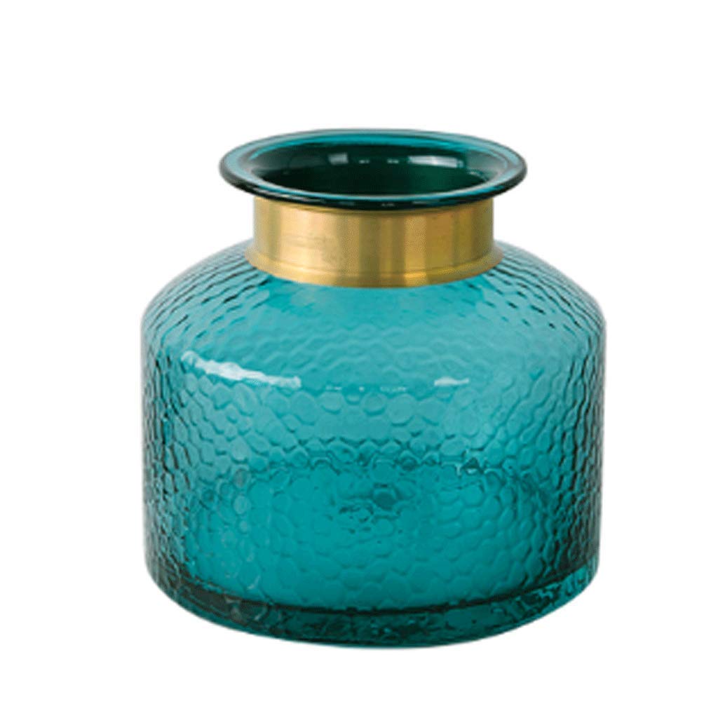 Vases transparents fleurs hydro pour une décoration de salon zen