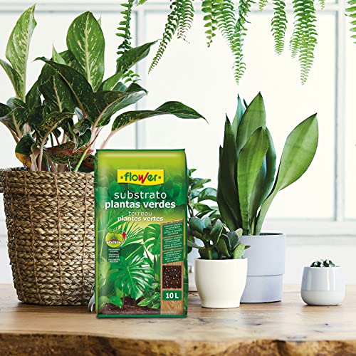 Miniatura 3 de Flower - Sustrato Plantas Verdes 10 L Tierra Para Plantas De Interior Y Exterior Con Perlita, Magnesio Y Compost Vegetal Aireación Y Drenaje
