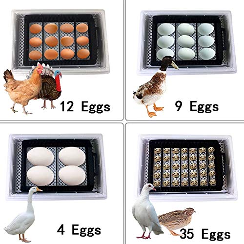 EUNEWR Professionelle LED Eier Inkubator Vollautomatisch Brutmaschine, mit Effizienter LED Beleuchtung Feuchtigkeitsfest… – Bild 8