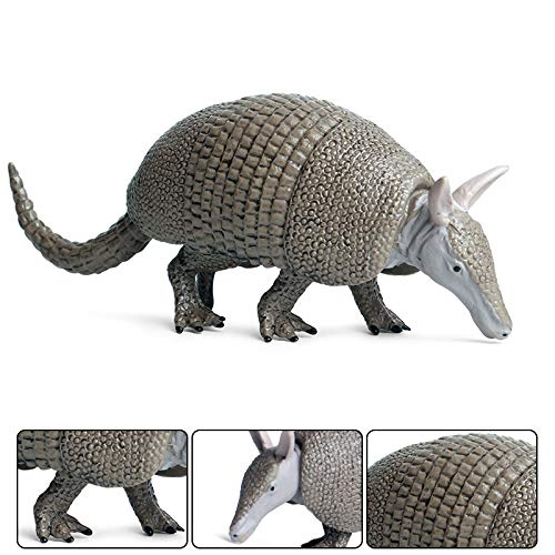 Amazon | Eden Toys アルマジロ 動物 被甲目 プラモデル 模型 誕生日