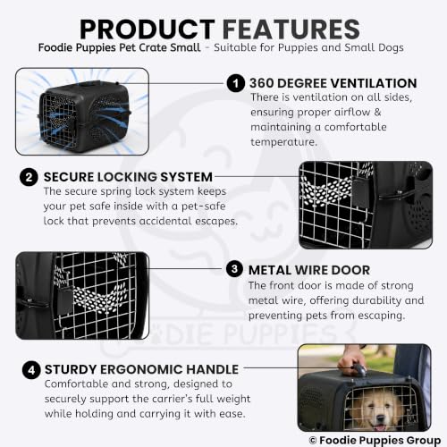 Image of Foodie Puppies Imported Plastic Pet Travel Carrier Cage (48.5 X 32 X 30 cm, Small) for Cats, Small Dogs, Puppies & Small Animals I Portable Transporter Box with Metal Door and Spring Lock