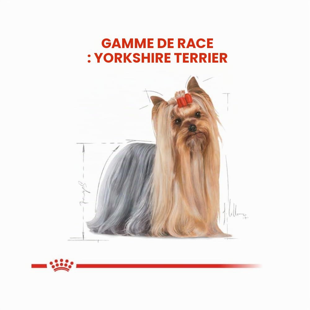 Royal Canin Yorkshire Terrier Adult | Pack de 4 | 4 x 500 g | Croquettes pour Yorkshire Terrier Adulte | A partir de 10 Mois | pour Aider à Vieillir en Bonne santé