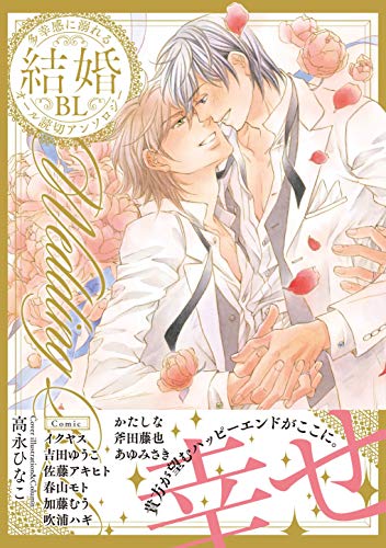 結婚BL【特典付き】 (デイジーコミックス(英和出版社))
