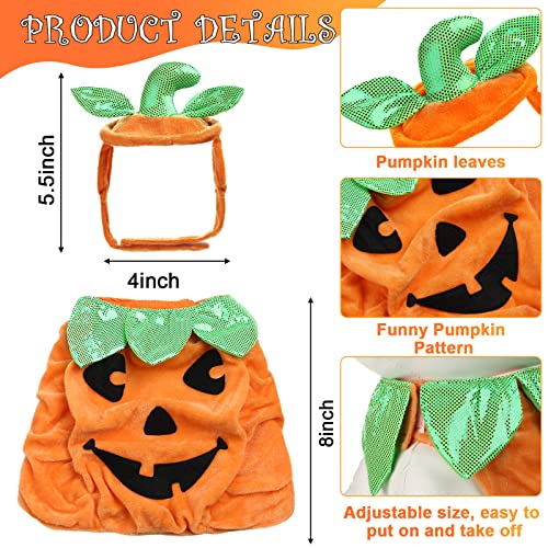 Disfraz Halloween para Gato 5 Piezas Potchen miniatura 3