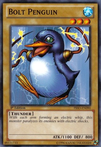 koala yugioh card  Des Koala