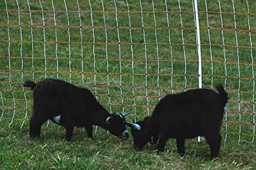 Kencove Electric Net Fence, 48” Height x 164’ Length, 14 Horizontal Lines, 3.5” Vertical Line Spacing, Orange
