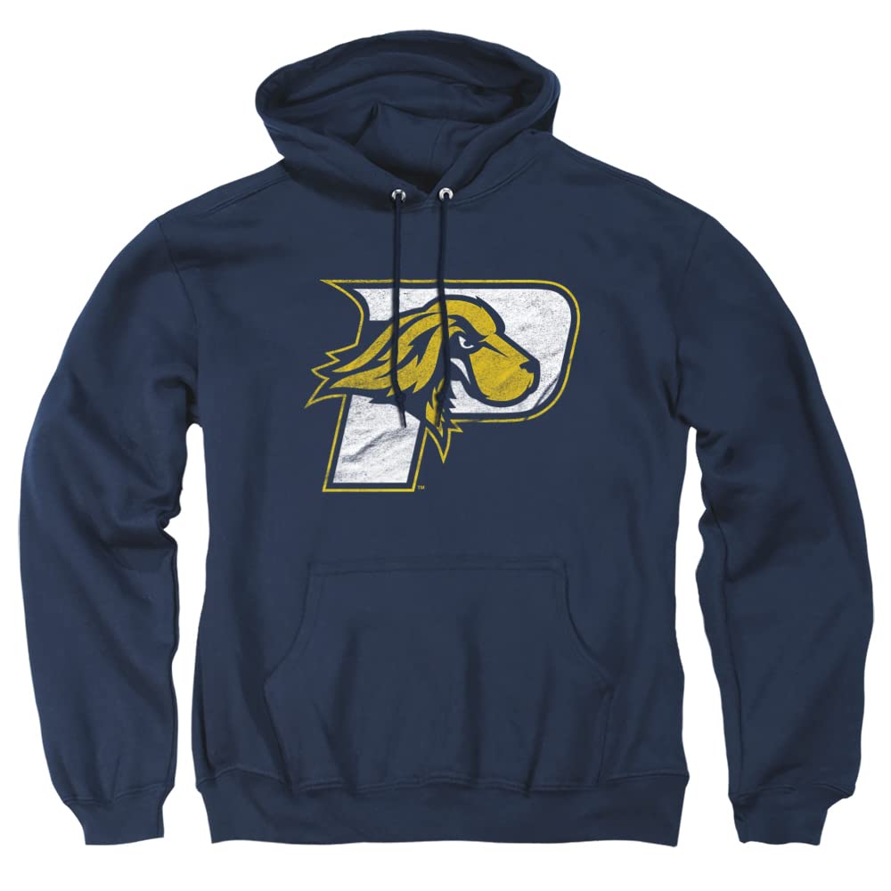 LOGOVISION Official Collegiate Distressed Primary Logo Adult Pullover Hoodie Collection — view 104