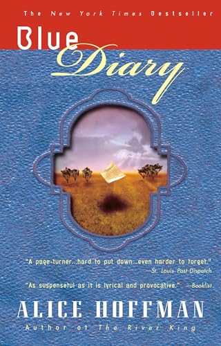 Blue Diary view 2