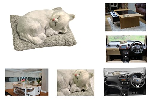 Image of NIKAVI Car Dashboard Soft Toy - car Decorations (M3)