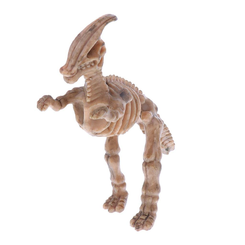 FHS Novelty Assorted Dinosaur Fossil Skeleton Figures 12pcs