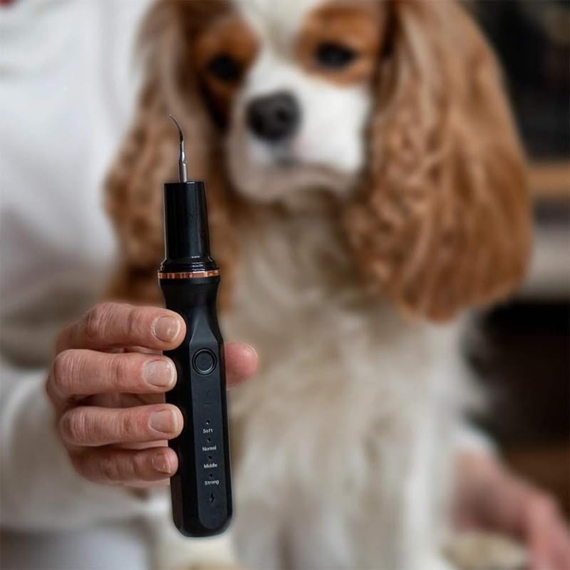 TrueSonic Zahnreiniger Für Hunde