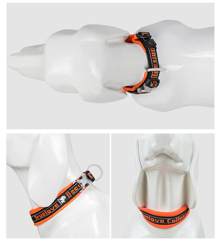 WINHYEPET True Love Reflective Dog Collar - Image 4