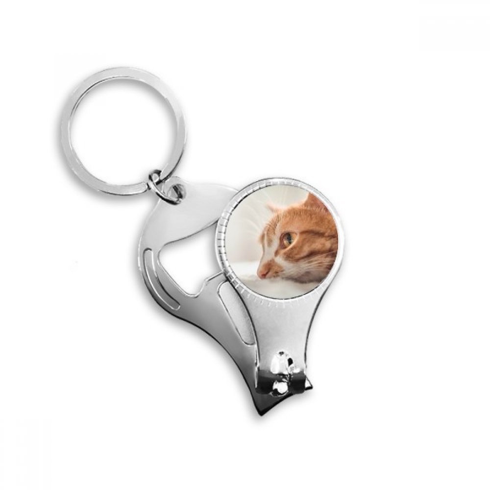 Porte-clés décapsuleur photo de chat, idée cadeau originale pour un maître
