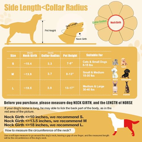 Image of HOMBYS Soft Dog Cone for Dogs and Cats, Cute & Fluffy Flower Shape for Claming, Adjustable Dog Collar Alternative After Surgery, Protective Elizabethan Collar for Dogs Recovery & Stop Licking (M)
