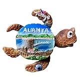 alanya antalya turchia tartaruga creativa magnete frigorifero viaggio souvenir 3d decorazione frigorifero magnetico sticker craft collection