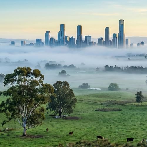 Couverture de The NSW Surveying Brief