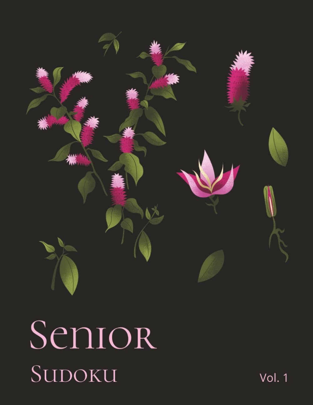 Senior Sudoku - Volume 1: Easy to Solve Large Print Sudoku Puzzle Book for Seniors with Over 250 Puzzles & Solutions