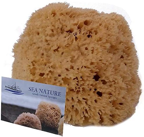 Natural Sea Sponge Sea Nature Brand 5-6 Inches Honeycomb Type for Body Bath and Face Cleaning ideal for Baby Bathing - Strong and Durable Guaranteed