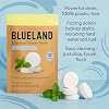 أقراص منظف وعاء المرحاض Blueland. النعناع رائحة الأوكالبتوس. 30 قرص.