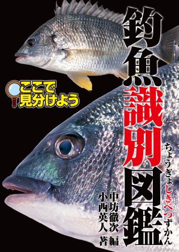 釣魚識別図鑑 ここで見分けよう 釣り人のための遊遊さかな 中坊 徹次 小西 英人 中坊 徹次 暮らし 健康 子育て Kindleストア Amazon 釣魚識別図鑑 ここで見分けよう 釣り人のための遊遊さかな 中坊 徹次 小西 英人 中坊 徹次 暮らし 健康 子育て Kindleストア Amazon