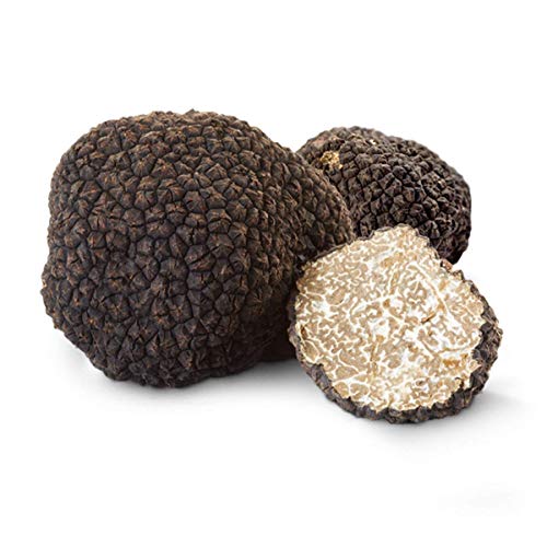 Alma Gourmet Fresh Italian Black Summer Truffles 4 oz