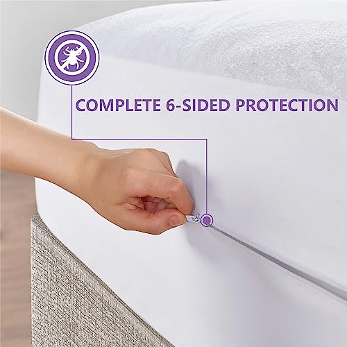 Best Bed Bug Mattress Encasement 2024 Get The Protection You Need