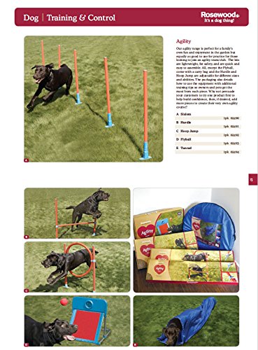 Rosewood アジリティ 小型犬用ハードル Rosewood アジリティ 小型犬用ハードル - メルカリ
