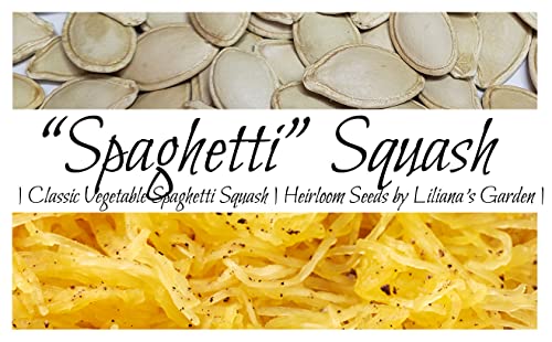 “Winter Spaghetti” Squash Seeds – Seeds for Classic Spaghetti Squash