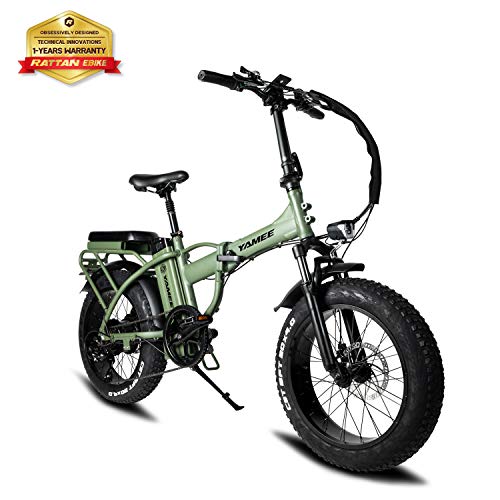 I·PAS Fat Tire Folding Electric Bike 750W 48V 13AH LCD Display Women's Step-Through