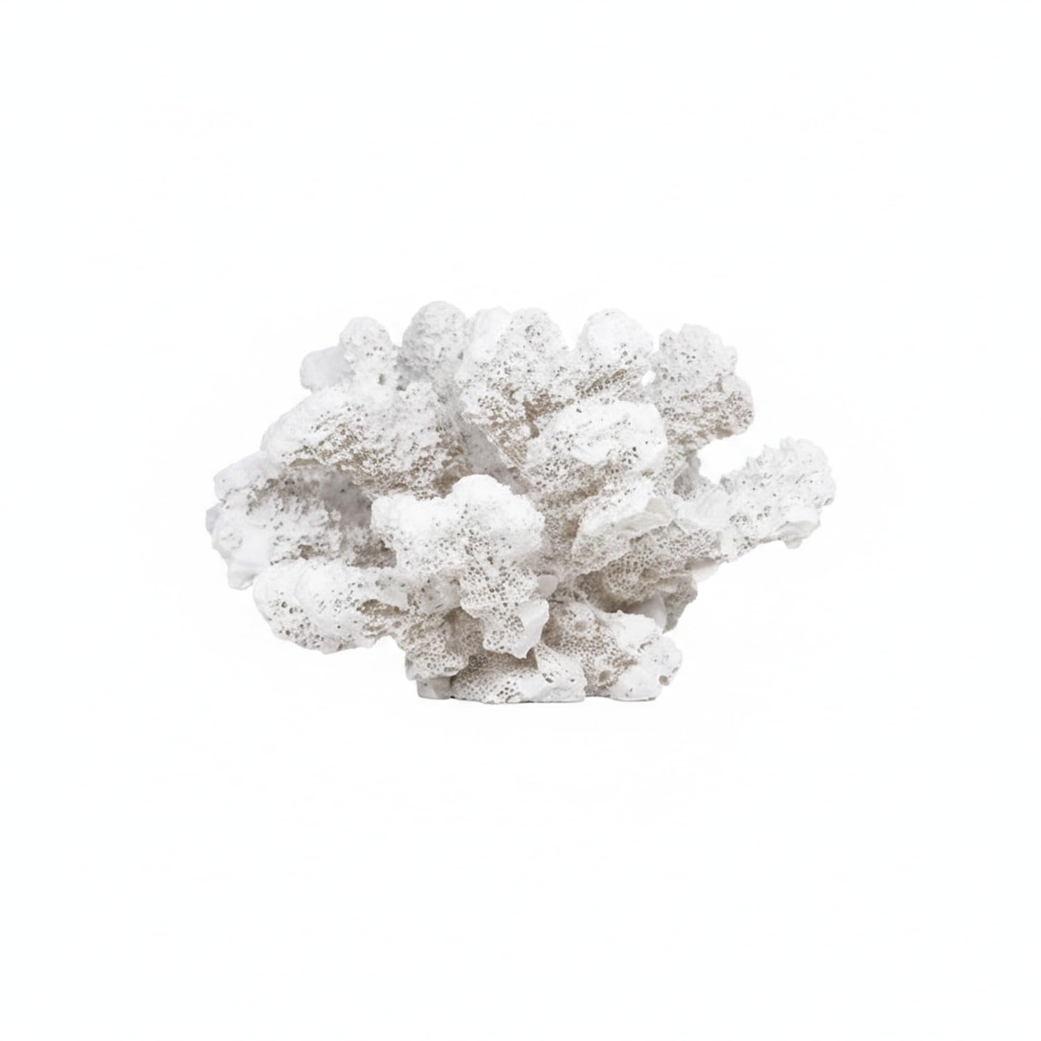 Adorno de Coral, 1 PC