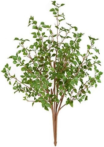 A-144210 48 in. Birch Bush, Green