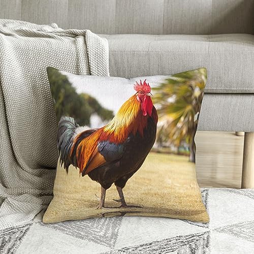 Housse de coussin en velours côtelé coq déco canapé - 8