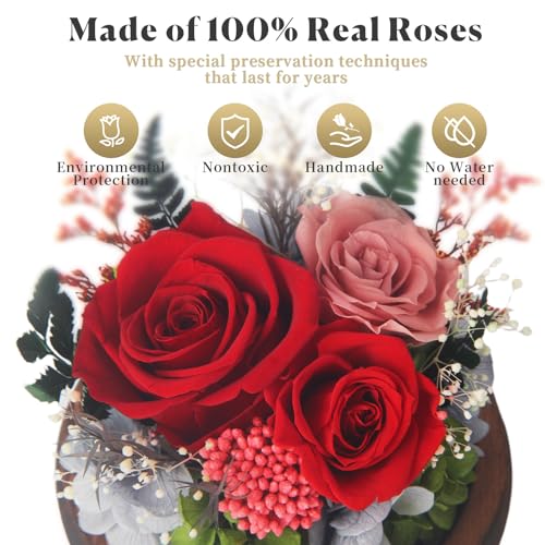 Valentines Day Gifts for Her, Forever Rose Birthday Gifts for Women, Preserved Flowers in Glass Dome, Eternal Flowers for Delivery Prime (Red Rose) - Image 3