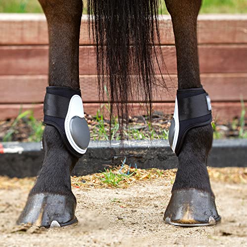 Professional's Choice Sports Medicine Products Pro Performance Fetlock Horse Boots Equestrian Sports | White #TOP2