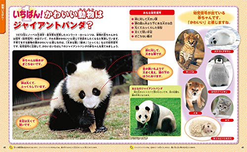 21年版 動物図鑑のおすすめ19選 写真やイラスト入りも Heim ハイム