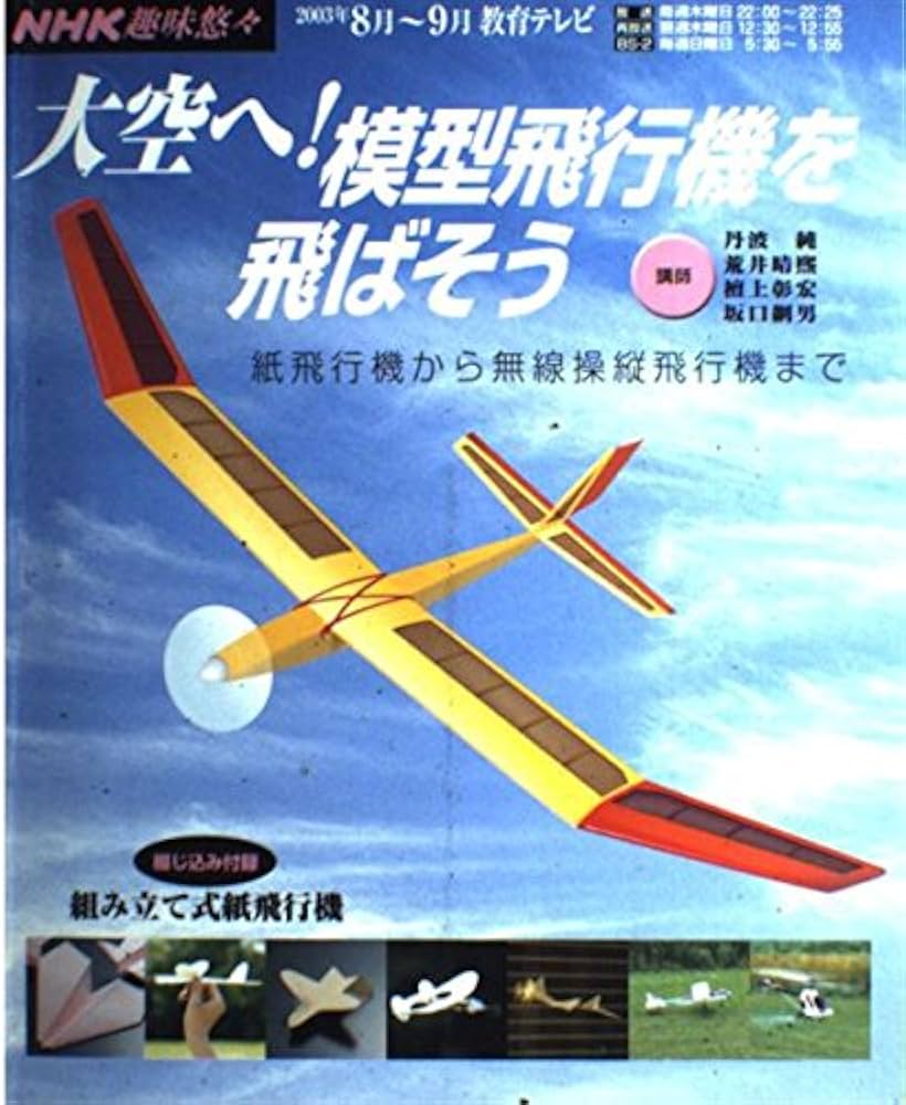 新品 おおでゆかこ 原画「飛行機」 m72019579080_1.jpg?1747380644