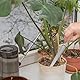 Schmale Pflanzkelle, 1 Stuck Edelstahl Handschaufel, Blumen-Kelle mit Holzgriff zum Umtopfen, Unkraut jäten, Gartenbau, Pflanzen, Graben und Schneiden