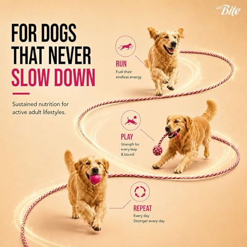 Image of Let's Bite Active Adult Dry Dog Food 10kg + 1kg Free (Total 11kg)