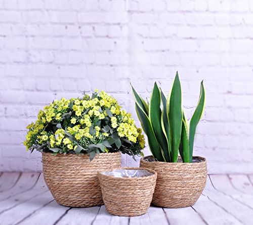 Hazel Home Seagrass Planter Basket Indoor Outdoor Garden, Hand-Woven Flower Pots Cover thumb #1