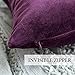 MIULEE Velvet Throw Pillow Covers 18x18 Inch, Pack of 2 - Eggplant Purple, Super Soft Decorative Square Cushion Cases Modern Luxury Home Decor for Sofa, Couch, Bed, Chair with Invisible Zipper