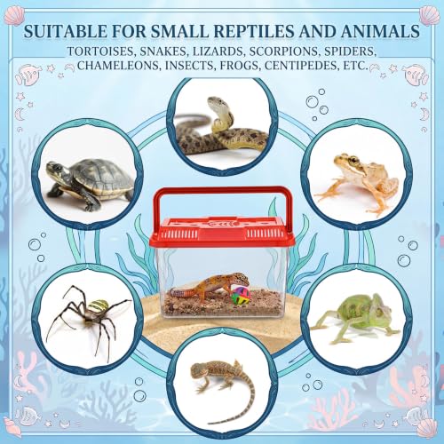 Image of LemonRoad 25 Pcs Plastic Reptile Terrariums,Classic,5.9x4.3x3.5 Inch
