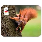 Pour chaque lot de tapis de souris Edition Colibri vend, ils plantent un arbre. (Voir l'image)