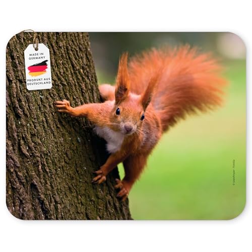 Edition Colibri Tapis de Souris Motif 22 Forêt : écureuil sur Un Arbre - Caoutchouc indéchirable avec Base hautement adhérente