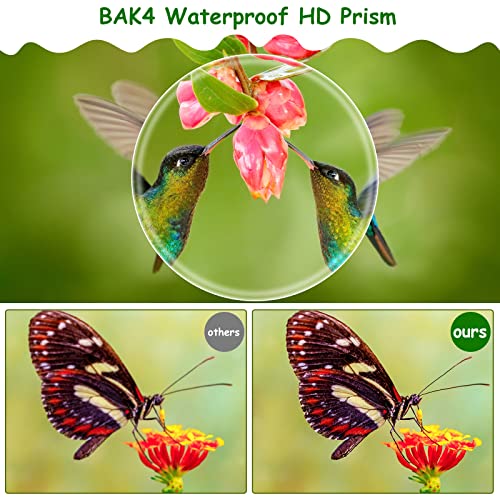 Hooshion 8X21 Binoculars For Kids, Pocket Folding Binoculars, Children's Gifts Suitable For Bird Watching, Sightseeing And Concerts, Theaters, And Operas #TOP5