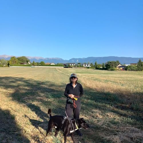 Riding Down Memory Lane