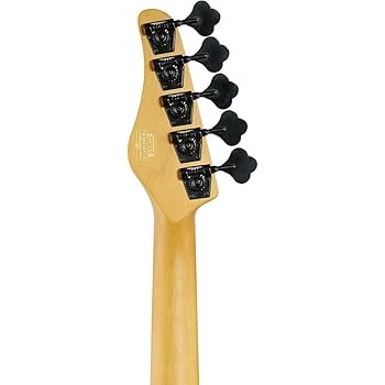 シェクター オリジナル Amazon | Schecter シェクター Guitar Research C-8 Deluxe
