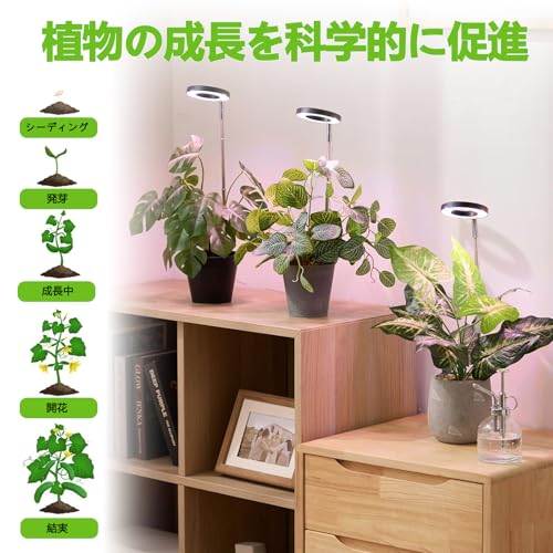 FujiFrugal 植物育成ライト LED 観葉植物 ライト 植物ライト の商品画像 4